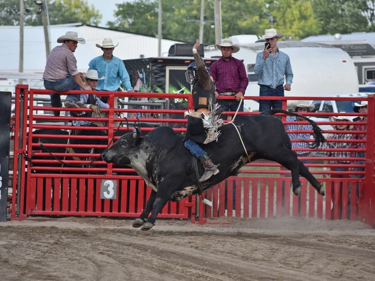 Man riding a bull at the Bulls and Barrels rodeo event.