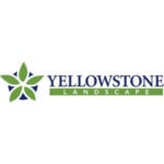 Yellowstone Landscape logo